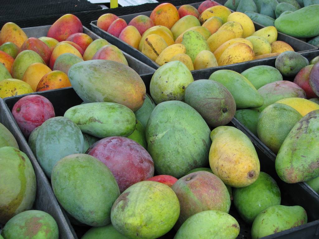 The 4 Best Mango Varieties​